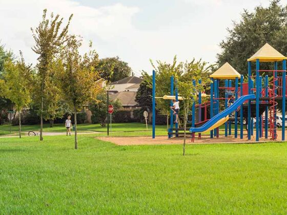 Park and Playground