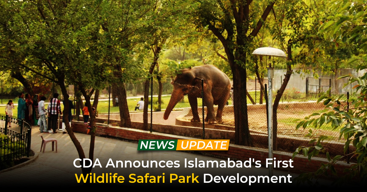 CDA Announces Islamabad's First Wildlife Safari Park Development